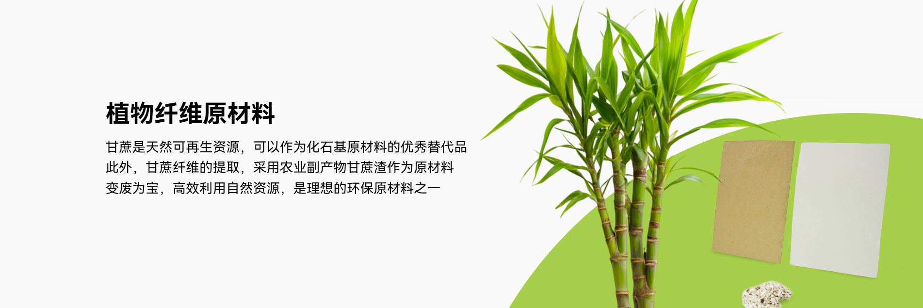 植物纤维原材料 01