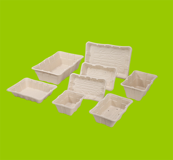 环保果蔬生鲜盒