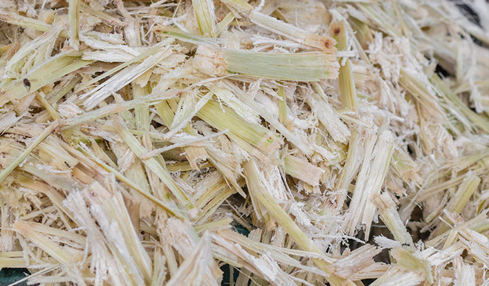 为什么选择甘蔗浆板？