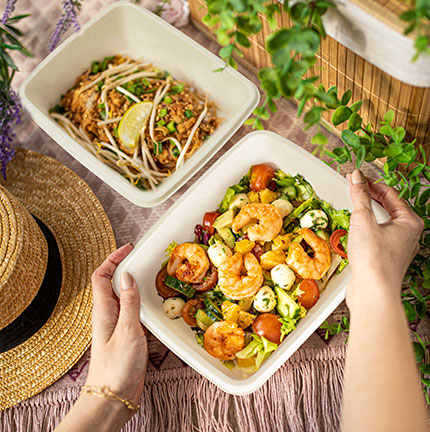 甘蔗浆板制品随处可见